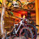 Cicli Snoopy