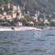 IMG_1599 IMG_1599