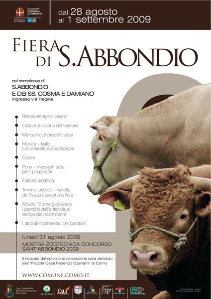 COMO: Fiera S. Abbondio 2009
