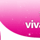 <b>VIVA GLI SPOSI – Erba 2011</b>